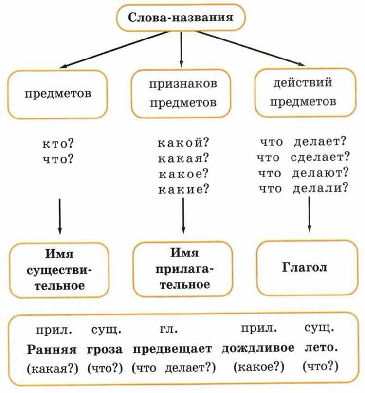 Употребление