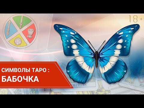 Слово бабочка в разговорной и устной речи