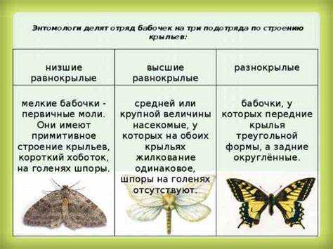 Разные значения термина в разных контекстах