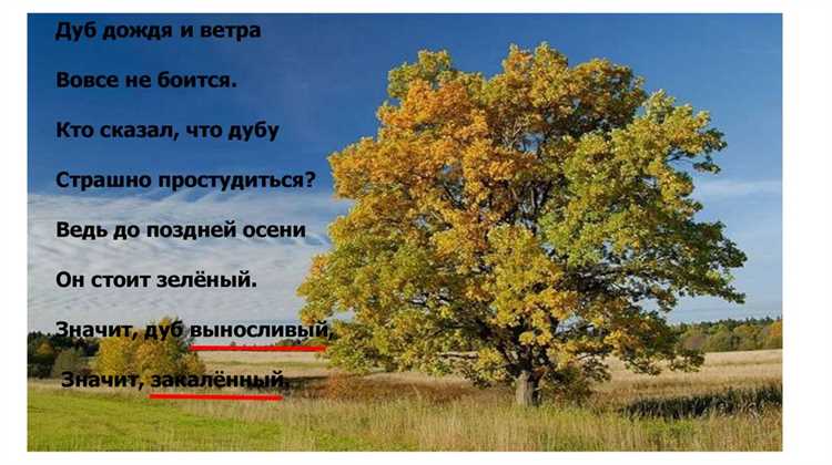 Слова, близкие к термину