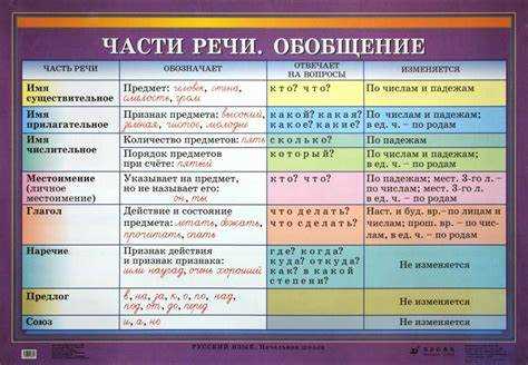 Употребление в различных типах предложений