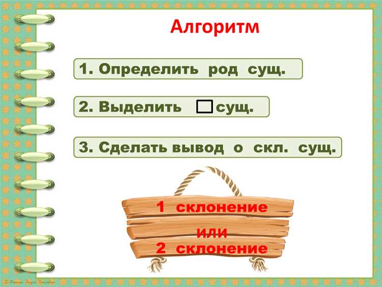 Практика: примеры существительных