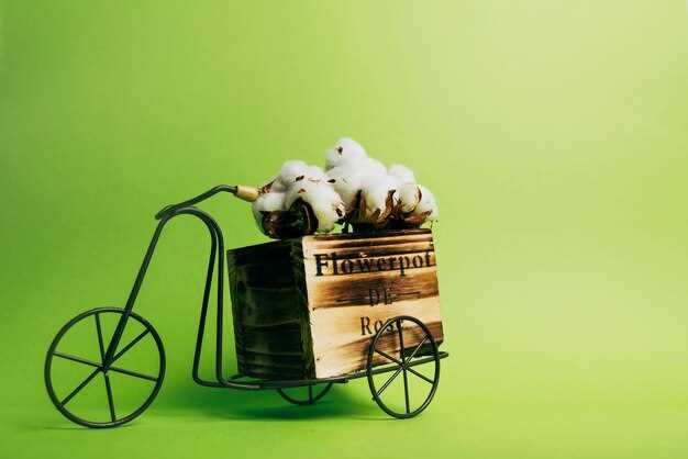 Связь слова
