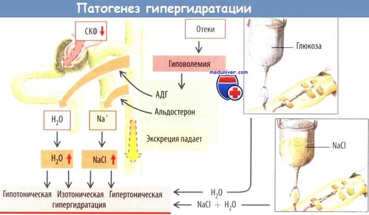 Определение термина 