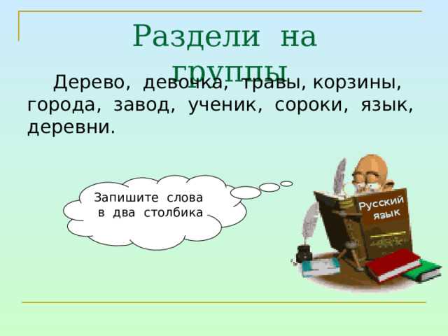 Классификация: какие существуют виды