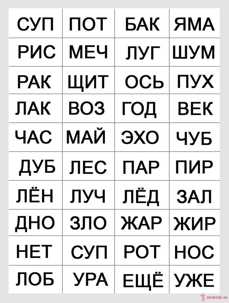 Как заимствования из других языков обогащают словарный запас