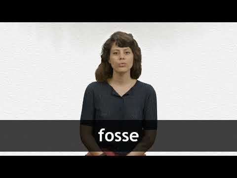 Сравнение Fosse с другими стилями