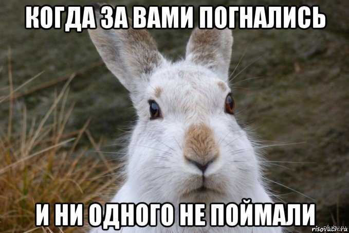 Создание напряженной сюжетной линии