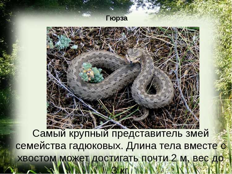 Частота использования