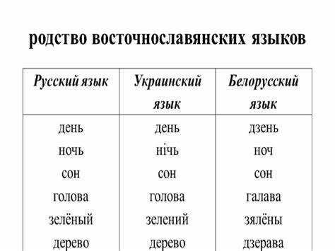 Определение термина 
