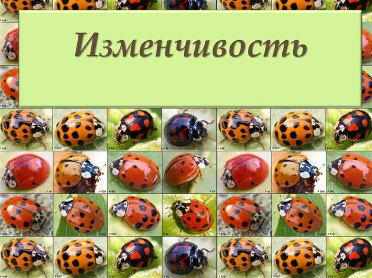 Медицинская специфика