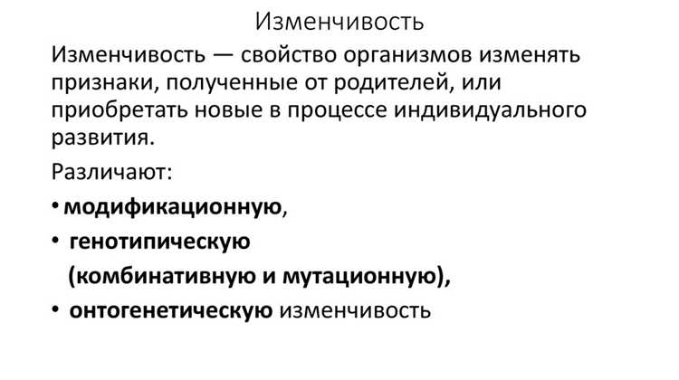 Юридическая терминология