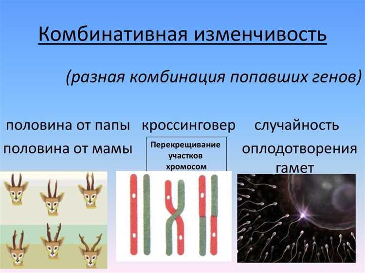 Ошибки в использовании синонимов и их последствия