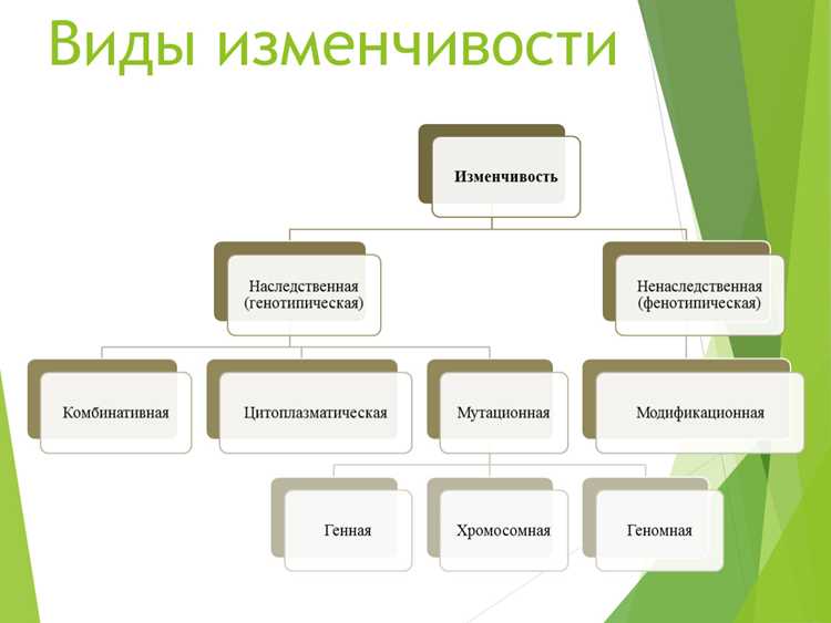 Практическое применение синонимов в литературе и журналистике