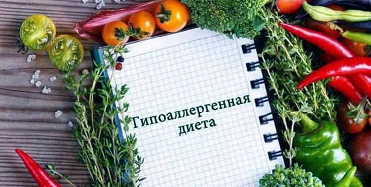 Исторические аспекты использования понятия 