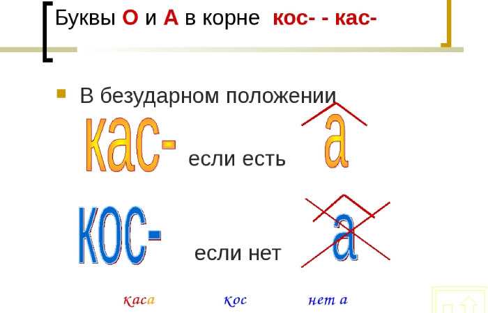 Синонимы и антонимы термина 