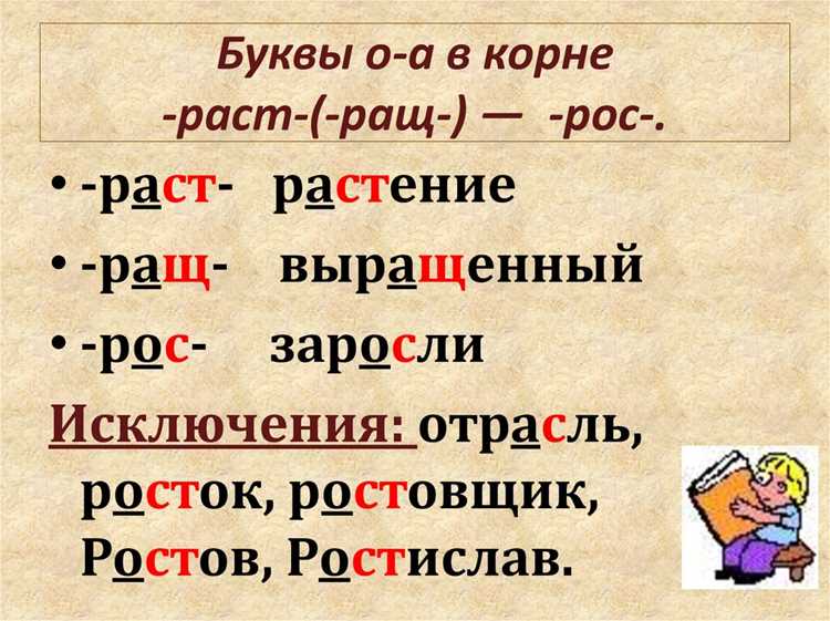 Синонимы к слову рощь и их употребление