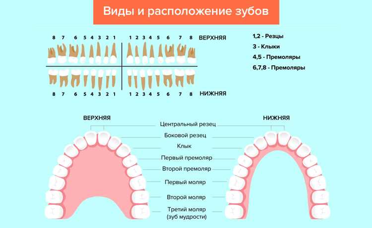 Советы по написанию доступным языком