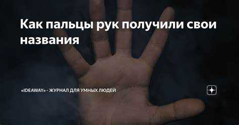Аналоги из разговорной речи