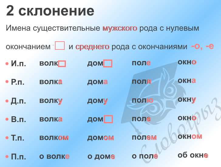 Общие правила изменения форм существительных