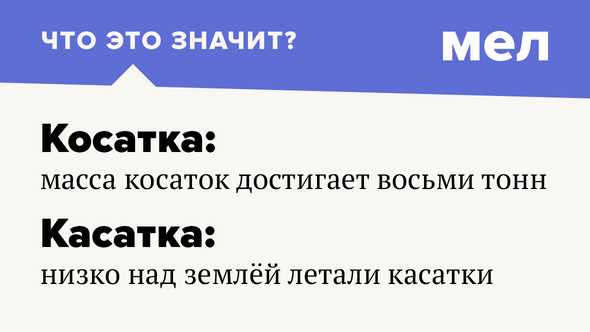 Косатка: особенности, интерпретация и значение
