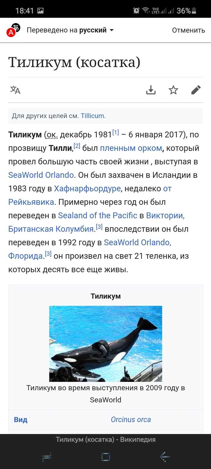 Значение морского хищника для человека