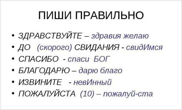 Словарные справки: где найти правильное написание?