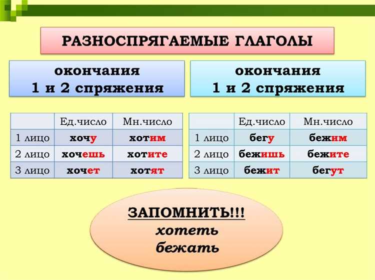 Синонимы и антонимы