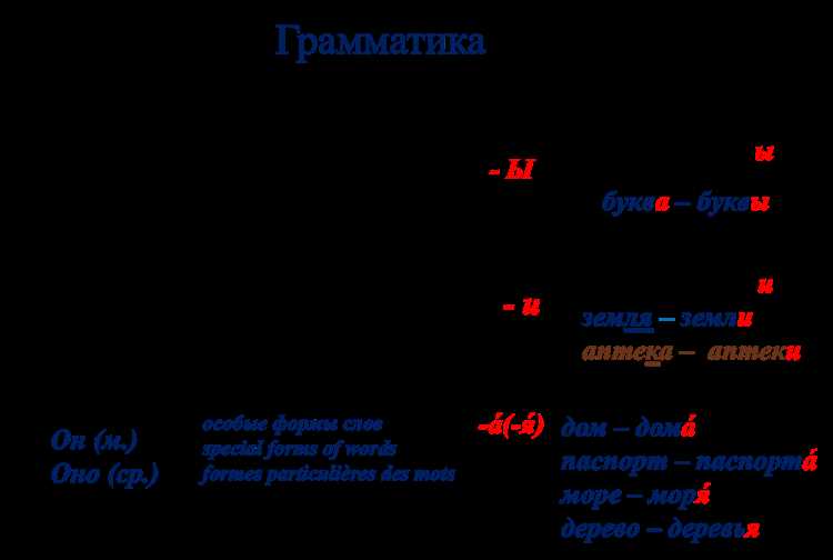 Примеры употребления термина в разных контекстах