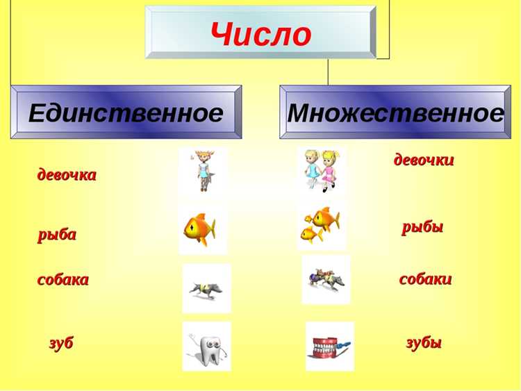 Определение термина