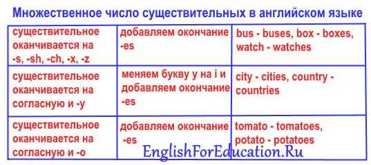 Справка по словам с окончанием -f и -fe