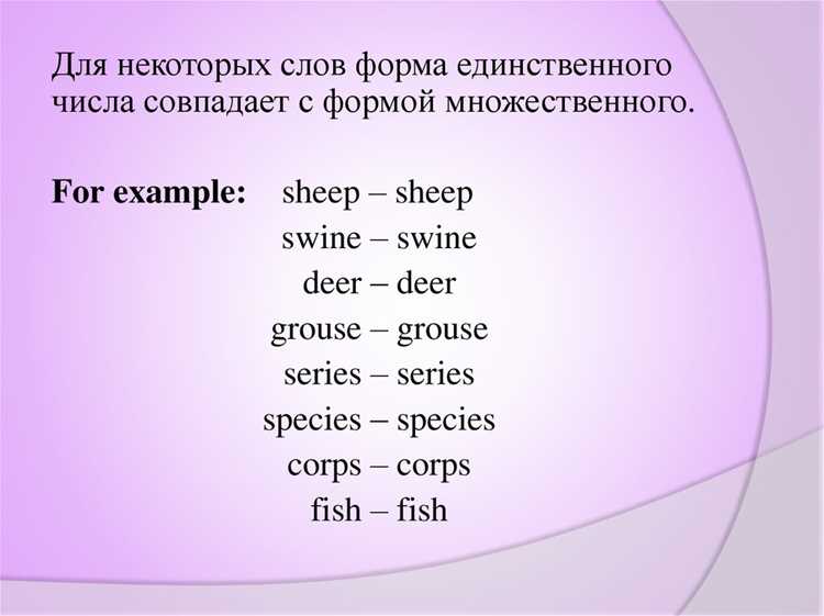 Сравнение с другими терминами на