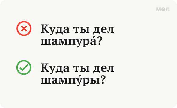 Наиболее употребительные формы слова шампур