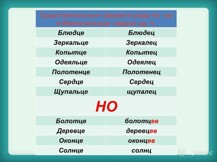Практические примеры использования форм с окончанием -ы