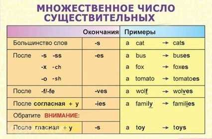 Сравнение с аналогичными существительными в русском языке