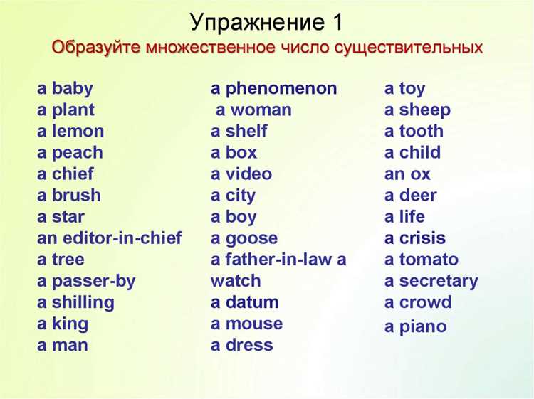Словообразование: как формируются аналогичные термины