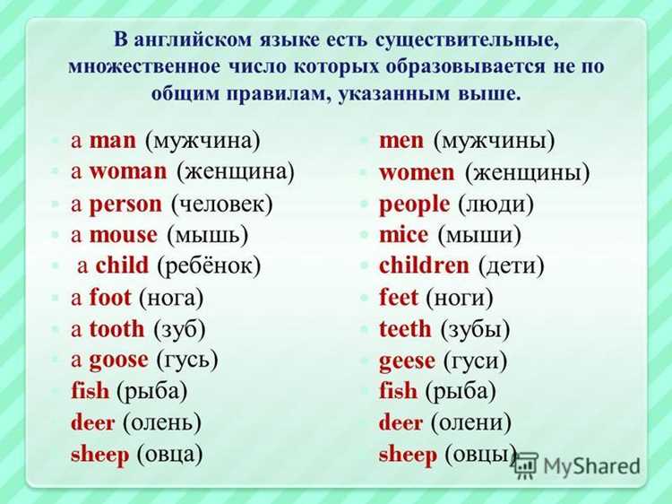 Существительные с аналогичным формированием множества