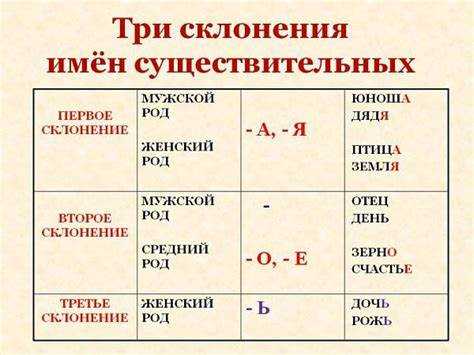 Основные правила склонения существительных в русском языке