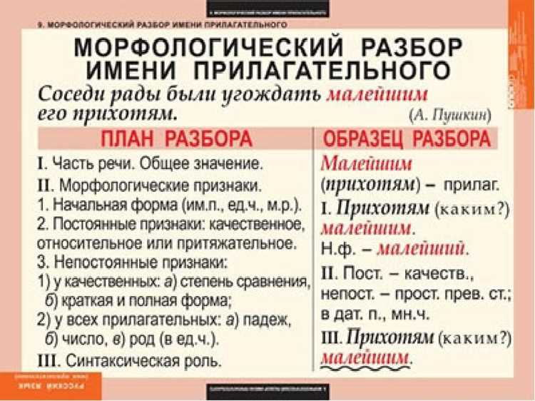 Фонетические особенности произношения термина