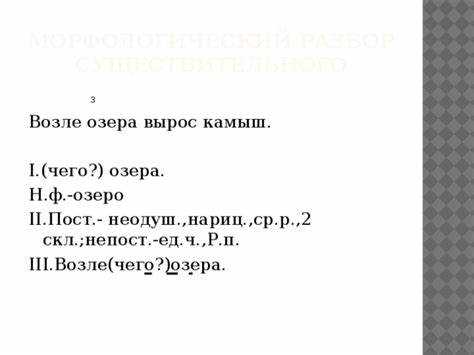 Синтаксическая функция в предложении
