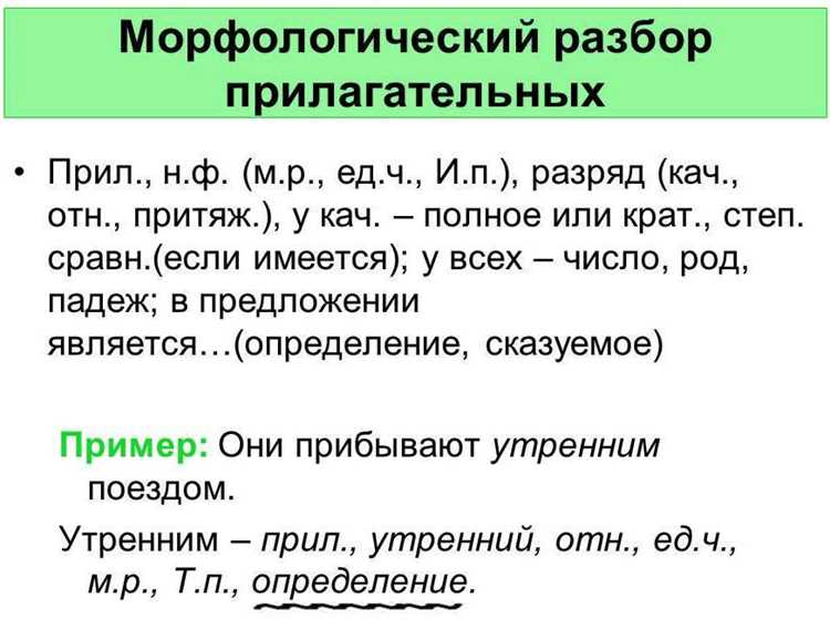 Роль аффиксов в образовании слов