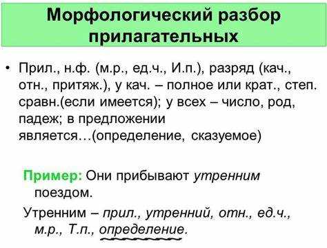 Изучение корня термина