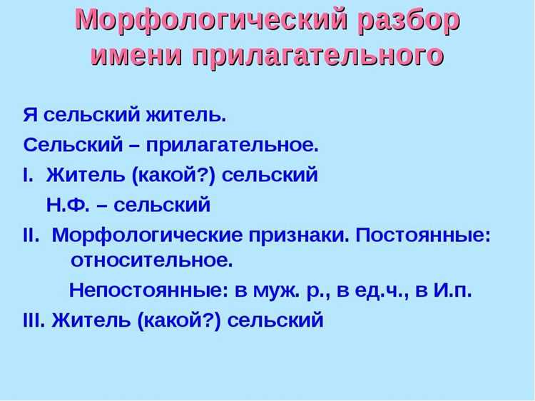 Изучение синтаксической функции в предложении