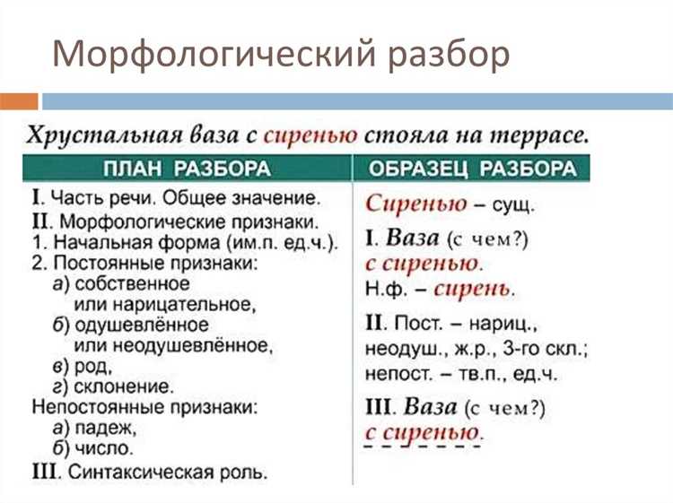Синтаксическая функция: как слово используется в предложении?
