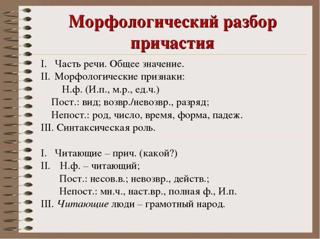 Лексическое значение термина 