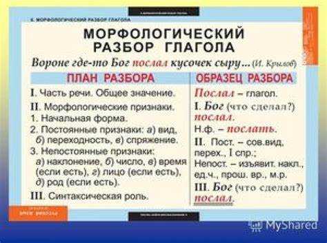 Интердисциплинарные связи между языковедением и другими научными областями