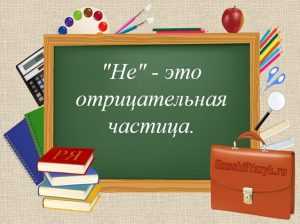 Роль морфологических характеристик в классификации лексики