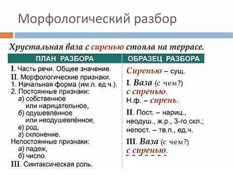 Грамматические категории: что включают в себя?