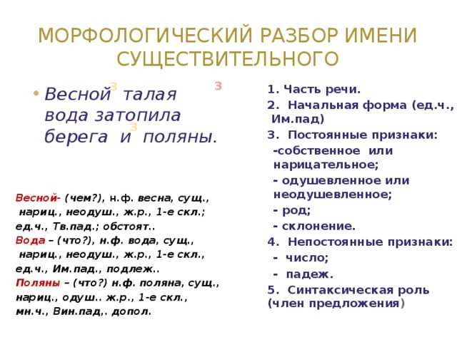 Основные элементы морфологического анализа