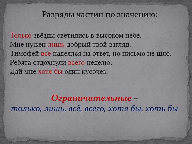Существительные: Описание и примеры употребления